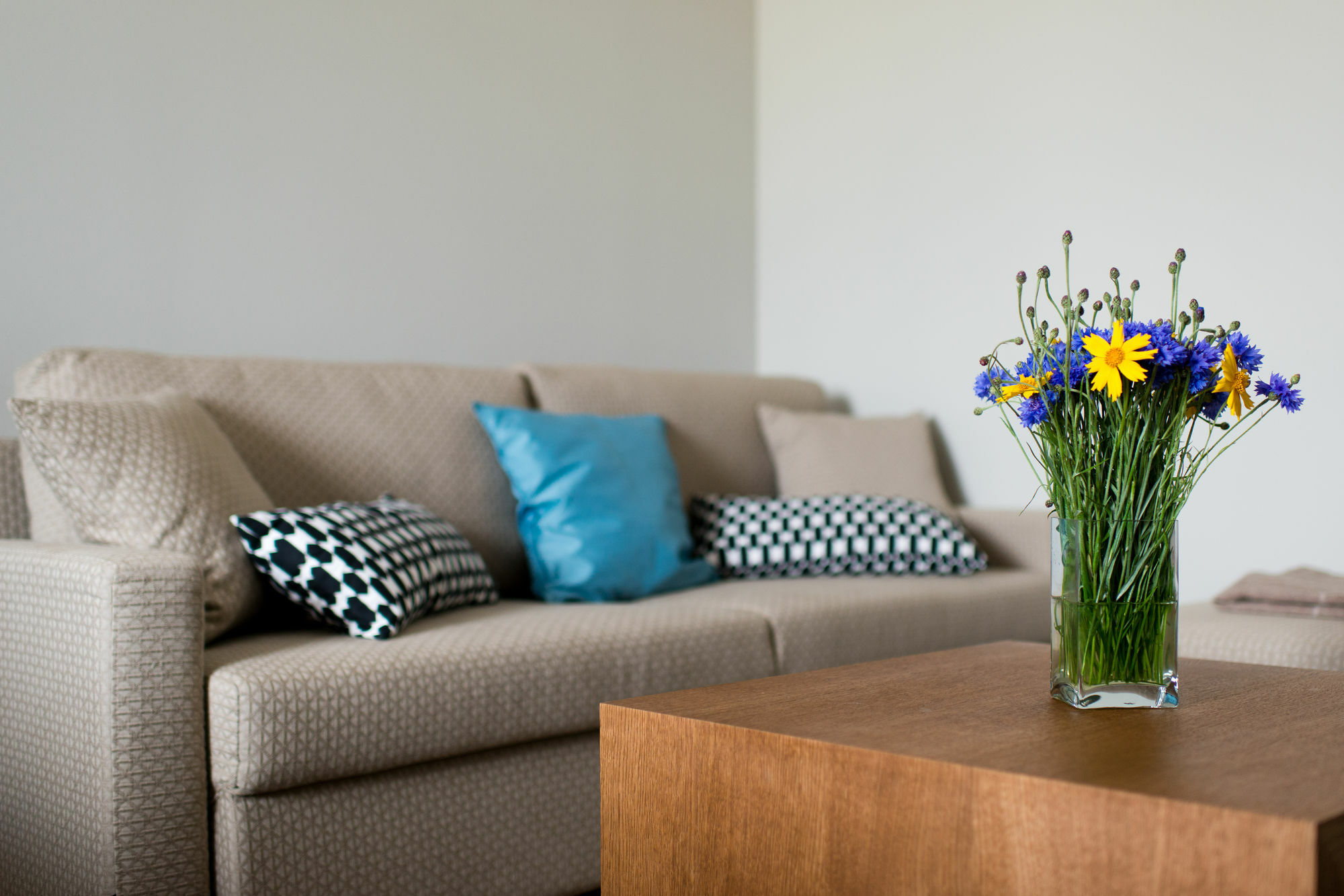 Palanga Visit Apartments And Spa 외부 사진