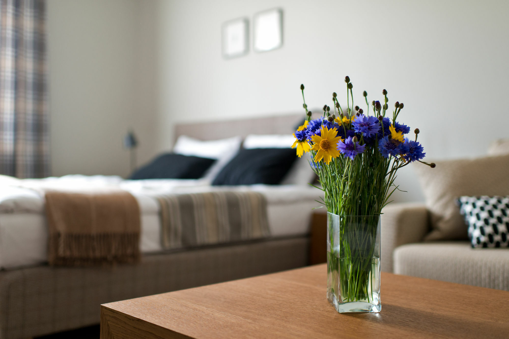 Palanga Visit Apartments And Spa 외부 사진
